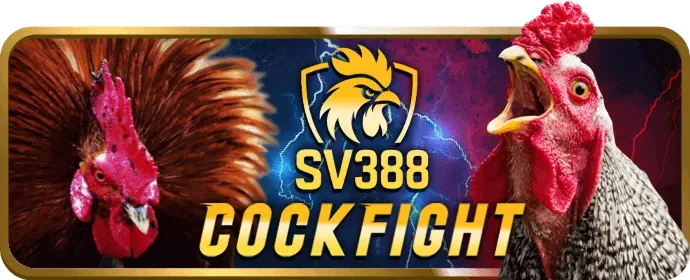 Cá Cược Bóng Đá T88